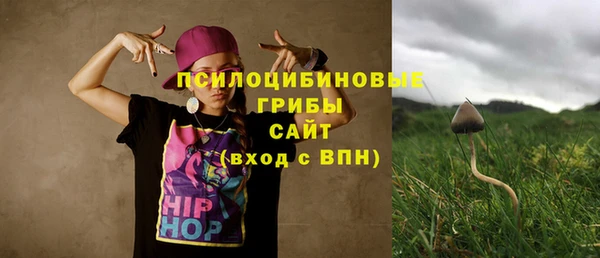 гидра Киренск