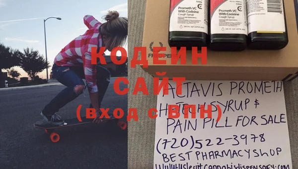 стаф Козельск