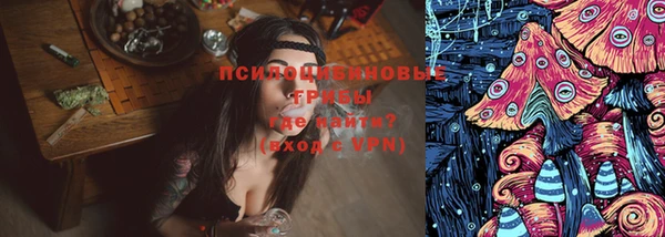 гидра Киренск